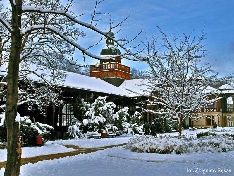 Hotel Maria Helena Szczawno-Zdroj Exteriör bild